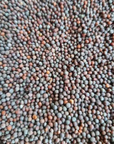 Pure And Dried Commonly Cultivated A Grade Whole Mustard Seed