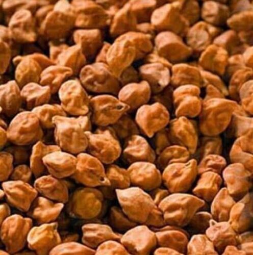 Pure and Sunlight Dried A Grade Hybrid Edible Gram Seed for Agriculture
