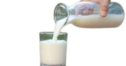 Healthy Original Flavor Hygienically Packed Fresh Pure Raw Cow Milk