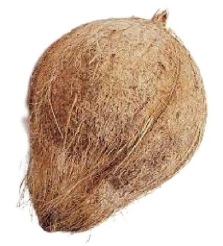 Natural And Pure Common Cultivated Round Shape Fresh Coconut 