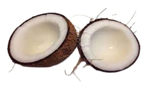 Round Shape Medium Size Naturally Grown Brown Fresh Coconut
