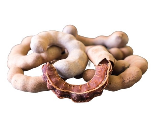 Solid Fresh Sweet Tamarind - 1 Kg Bag Packed, 16% Moisture, Brown Color, Perfect for Curries, Chutneys, and Sauces