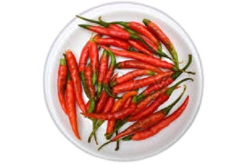100% Natural And Farm Fresh Spicy Long Shape Red Chili