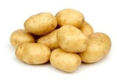 A Grade Pure And Raw Whole Fresh Potatoes With 1 Week Shelf Life
