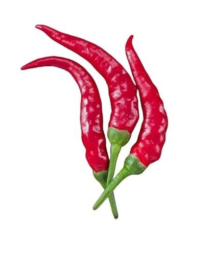 A Grade Pure Organic Spicy Taste Dried Red Chiili For Cooking Dishes Use