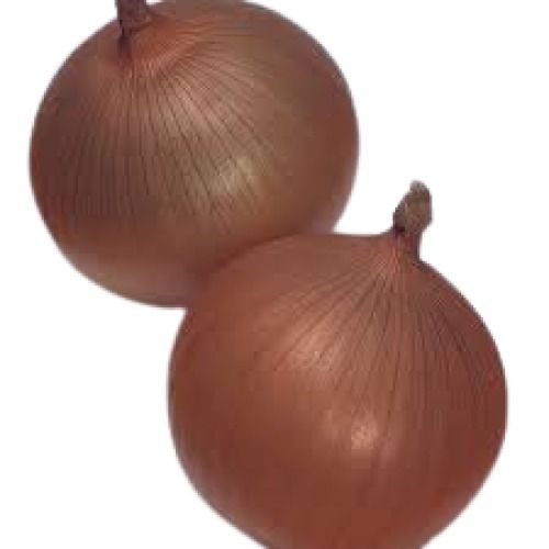 Brown Onion