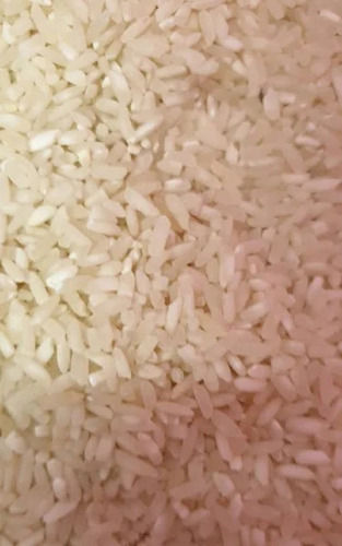 Common Cultivated Pure And Dried Medium Grain Non Basmati Rice Admixture (%): 2%