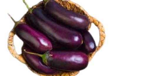 Farm Fresh Naturally Grown Oval Shape Raw Brinjal For Cooking Use