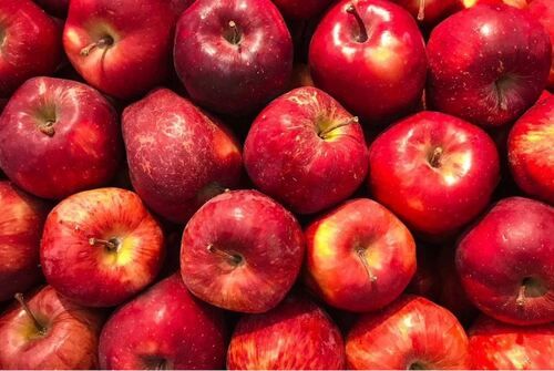 Red Pure And Raw Commonly Cultivated Fresh Whole Sweet Apple 