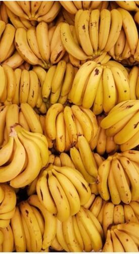 Pure And Raw Commonly Cultivated Sweet Banana 