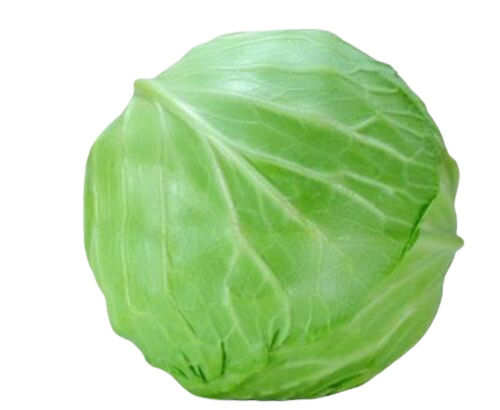 Pure And Raw Whole Fresh Cabbage