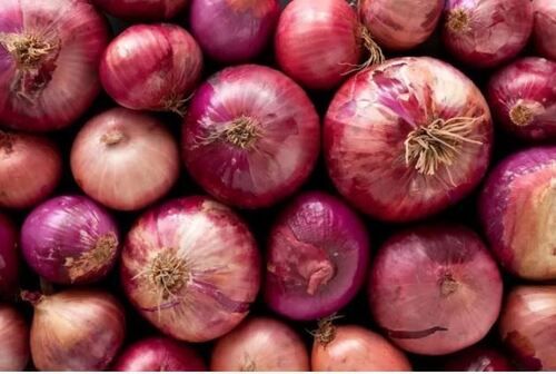 Pure And Raw Whole Round Fresh Onion With 1 Week Shelf Life Moisture (%): 40%