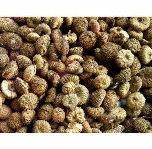 99%Natural Common Cultivated Indian Region Good Quality Akarkara  Age Group: Suitable For All