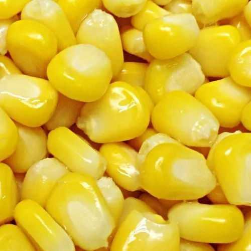 A Grade 100% Organic Fresh Peeled Yellow Frozen Sweet Corn For Cooking