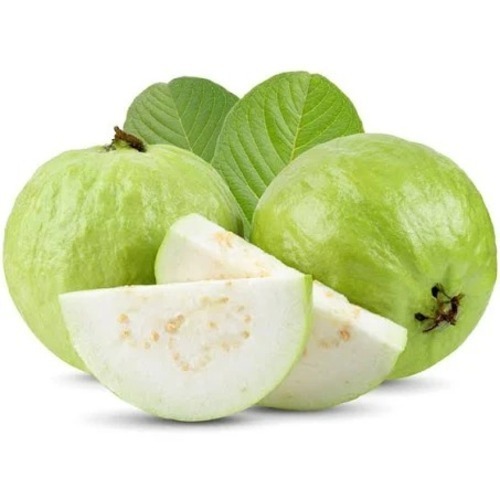 ग्रीन ए ग्रेड सामान्य रूप से उगाए जाने वाले गोल शुद्ध और ताजे अमरूद 1 सप्ताह की शेल्फ लाइफ के साथ