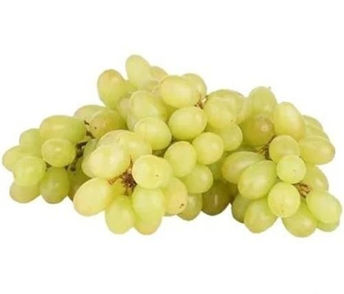 Green A Grade Commonly Cultivated Whole Sweet Fresh Grapes, 7 Days Shelf Life