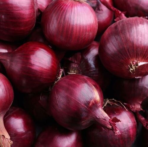 Common Cultivated Pure And Fresh Round Raw Onion With 1 Week Shelf Life