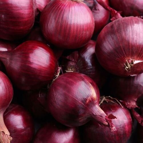 Common Cultivated Pure And Fresh Round Raw Onion With 1 Week Shelf Life Moisture (%): 80%