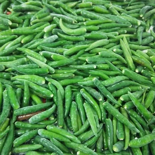 Organic 100% Fresh Frozen Dark Green Chilli Without Stem For Cooking