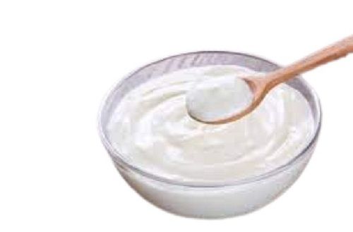 Raw Processing Original Flavor Hygienically Packed Raw Curd For Children And Adults