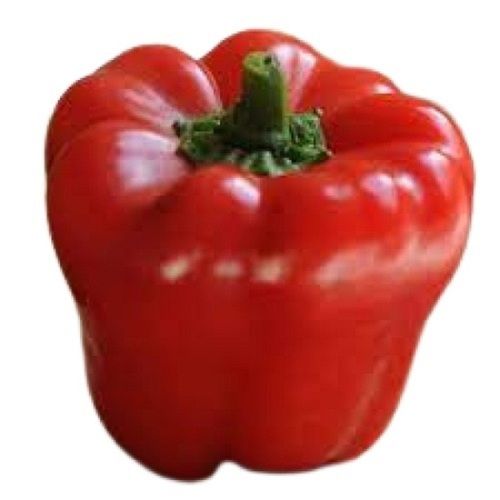 100% Pure And Fresh Naturally Grown Red Capsicum