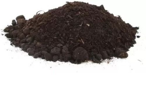 97% Purity Granular Compost Organic Fertilizer For Agriculture