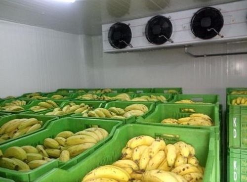 Uv Technology Three Phase High Efficiency Electrical Fruit Ripening Chamber