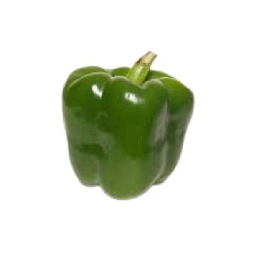Healthy Round Shape Fresh Capsicum For Making Multiple Dishes Use