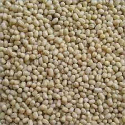 Oval Shape Dried 100% Pure Natural Organic Whole Urad Dal