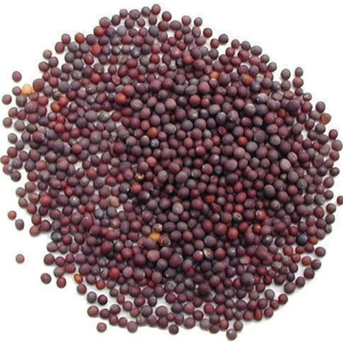 Pure And Dried Whole Round Raw Mustard Seeds