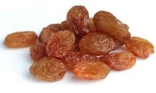 Brown Pure And Healthy Common Cultivated Dried Sweet Raisin