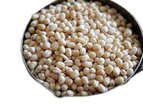 100% Pure Oval Shape Common Cultivated Dried Urad Dal For Cooking Use