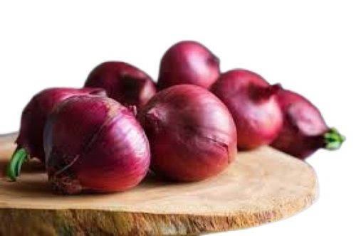 Round Shape Naturally Grown Fresh Red Onion