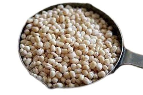 100% Pure Healthy Oval Shape Nutriants Common Cultivation Dried Urad Dal