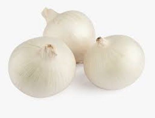 Fresh Naturally Grown Round Shape White Onion