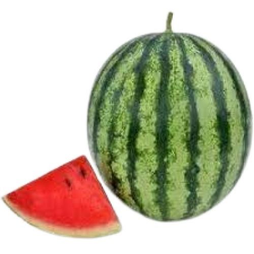 Green Round Shape Indian Origin Commonly Cultivated Medium Sized Sweet Tasty Watermelon