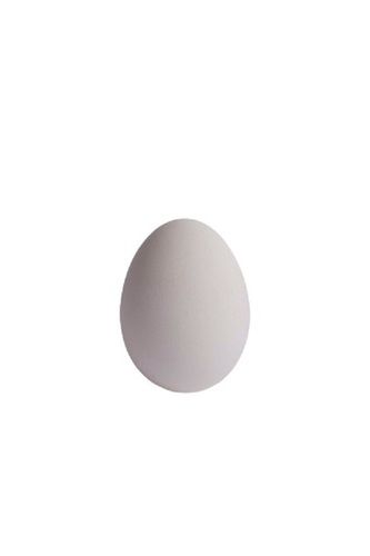 White Oval Shape Fresh Egg Egg Origin: Chicken