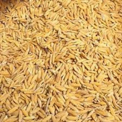 100% Pure Indian Origin Medium Grain Brown Paddy Rice 