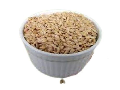 Brown A Grade 100% Pure Commonly Cultivated Organic Natural Barley Seeds