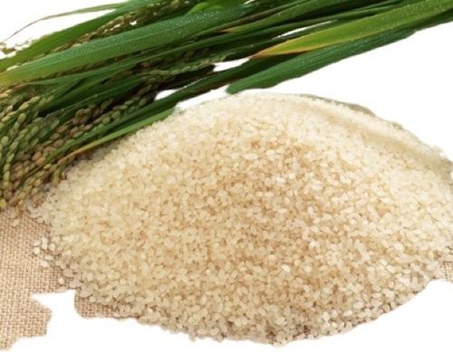 A Grade Nutrient Enriched 100% Pure Short Grain White Samba Rice