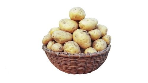 Farm Fresh Round Shape Brown Potato