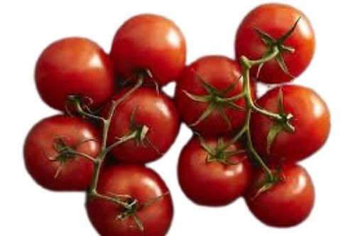 Farm Fresh Round Shape Raw Red Tomatoes