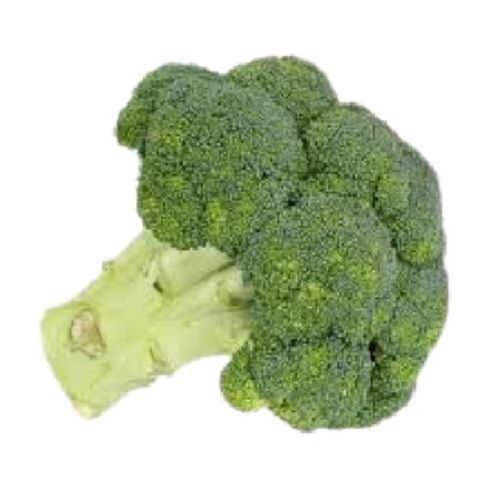 Fresh Round Shape Green Broccoli 