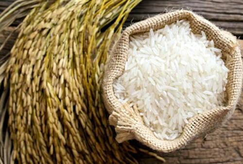 Medium Grain Basmati Rice, Packaging Size 25- 50 Kg