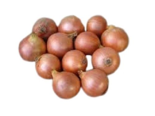 Naturally Grown Farm Fresh No Preservatives Raw Brown Onion