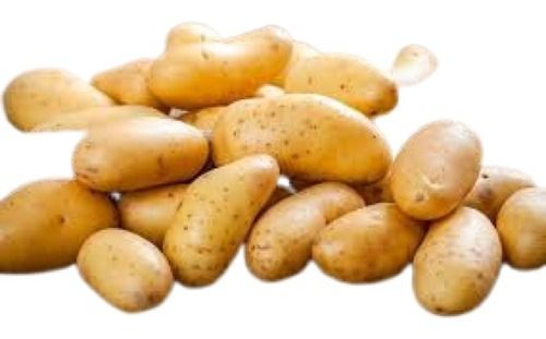 Naturally Grown Round Shape Raw Potato For Cooking Use