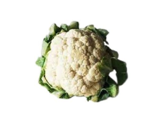 Naturally Grown Round Shape White Fresh Cauliflower