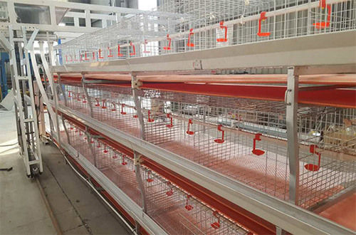 Poultry Feeder Application: Industrial