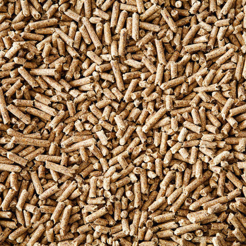 Raw Biomass Pellets And Briquettes For Industrial Fuel