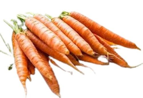 Farm Fresh Long Shape Raw Carrot Shelf Life: 3 Days